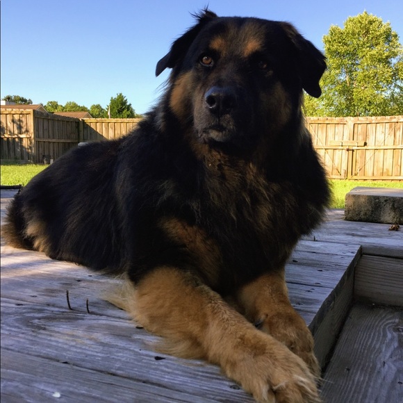 Meet your Posher, Michelle - Picture 3 of 8